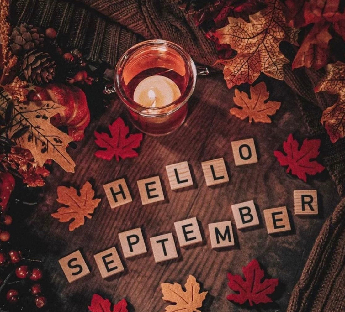 Welcome to My Little Corner of the Web