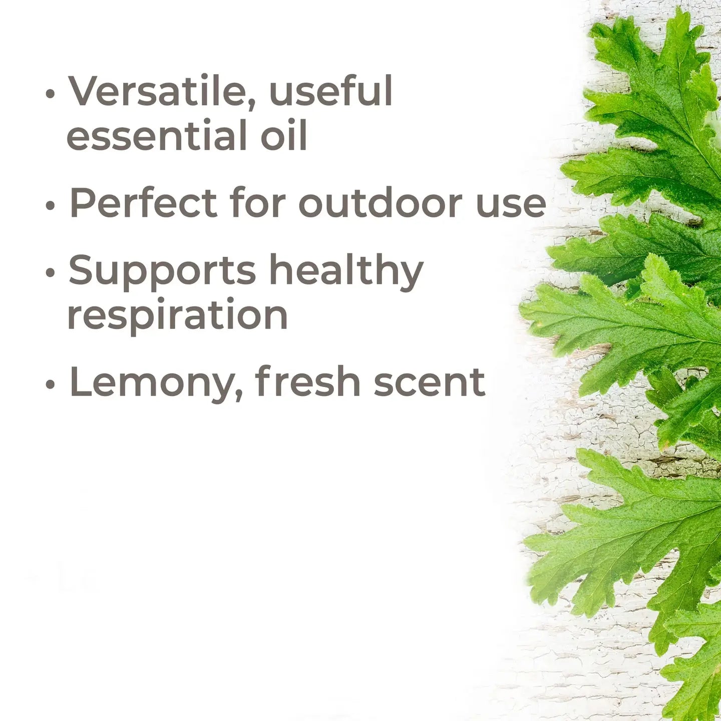 Organic Citronella Essential oil 10ml