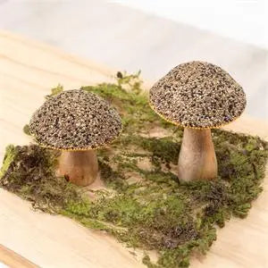 Mango Wood Beaded Mushroom Set