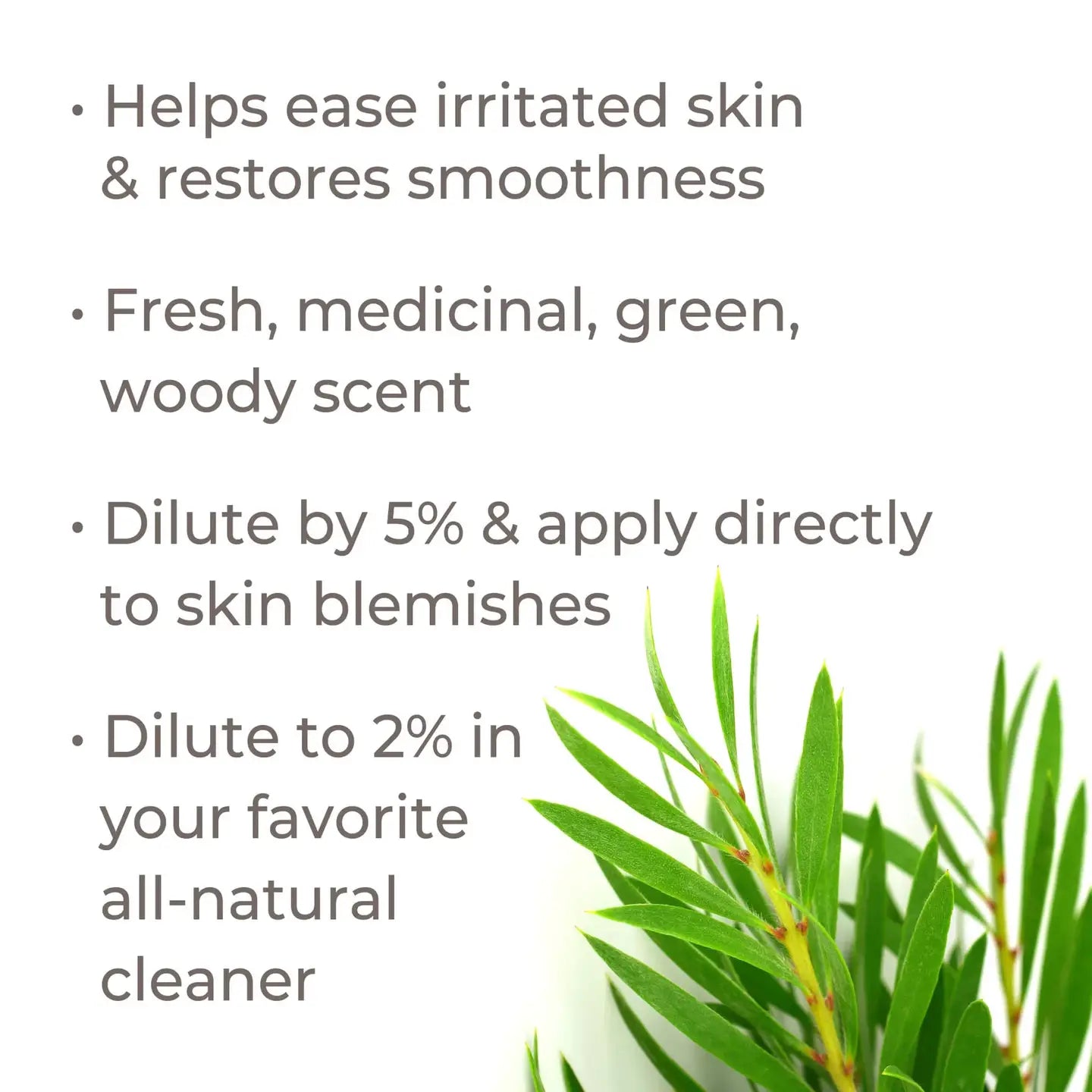 Tea Tree Essential oil 10ml