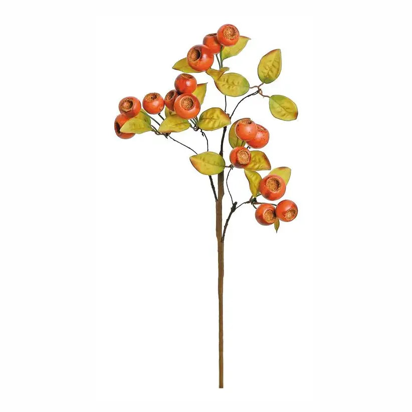 Crater Berries