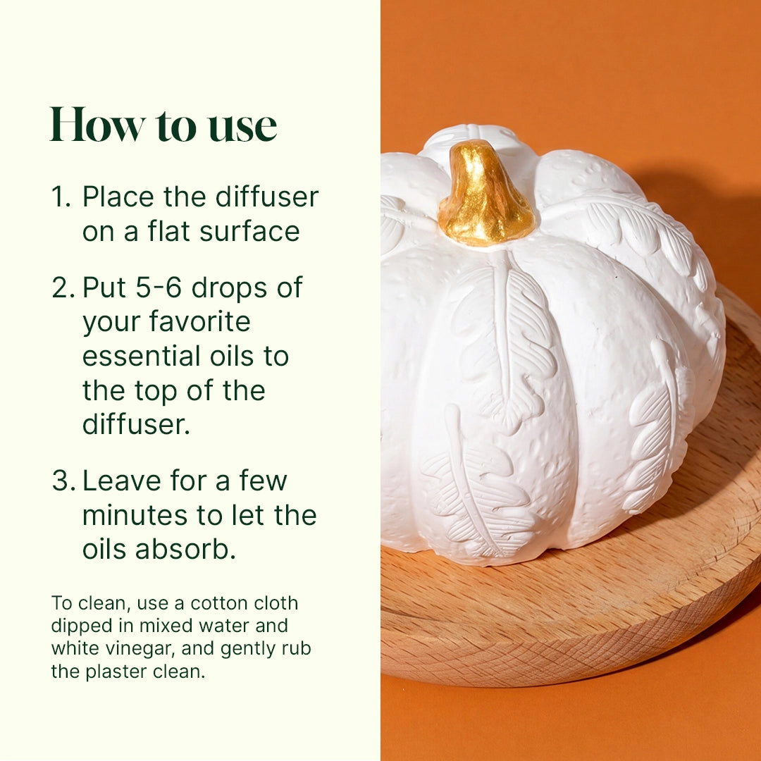Pumpkin Passive Essential Oil Diffuser