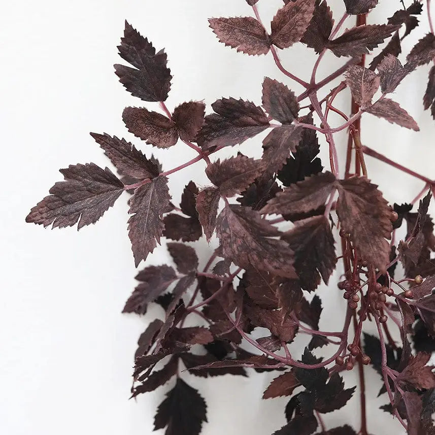 Plum Cimicifuga Seeded Garland - 6'