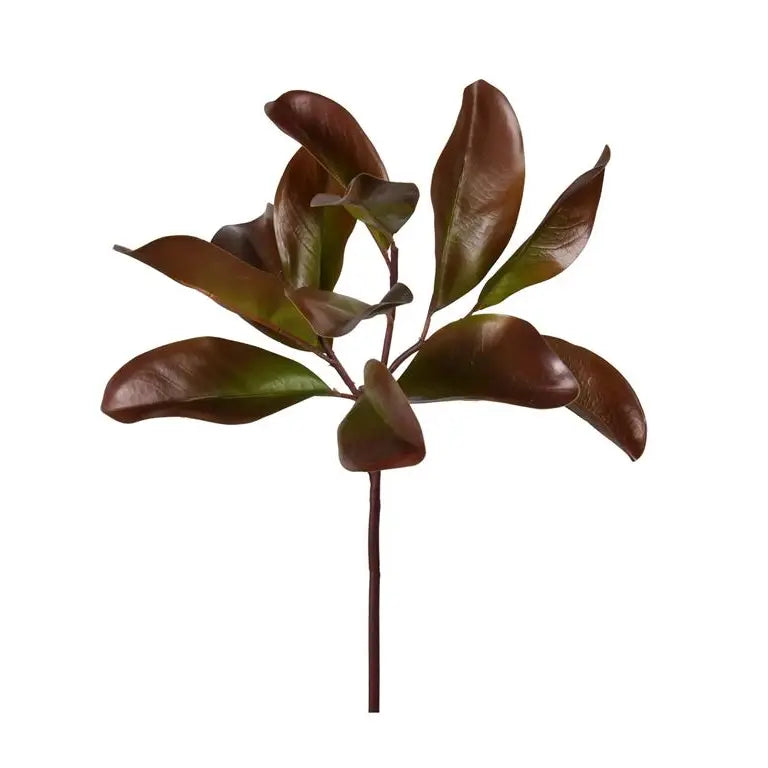 Magnolia Fall Leaves