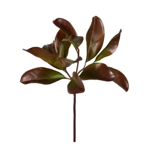 Magnolia Fall Leaves