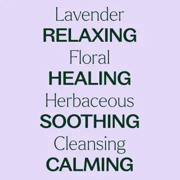 Organic Lavender Essential Oil 10 Ml
