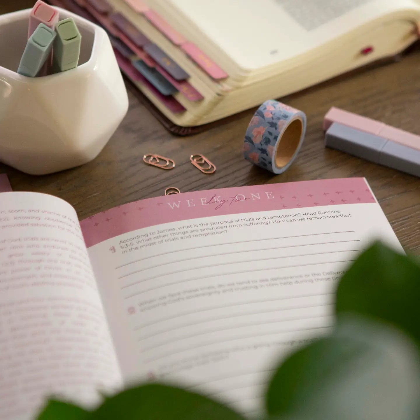 James Bible Study | Unwavering