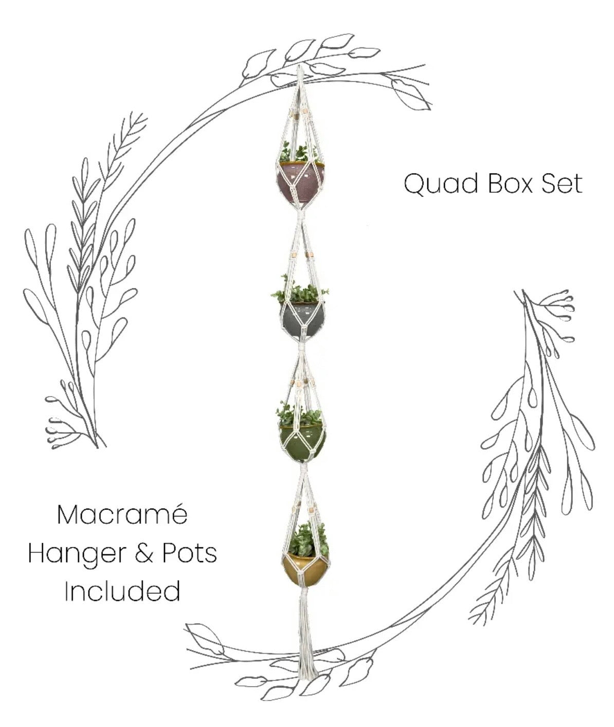 Box Set: Quad Macramé Plant Hanger & 4 Ceramic Pot
