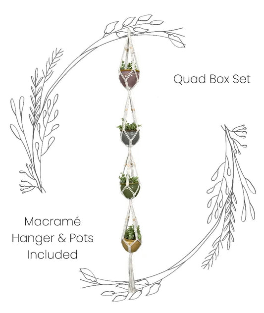 Box Set: Quad Macramé Plant Hanger & 4 Ceramic Pot