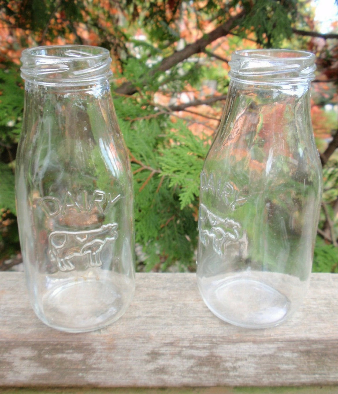 Half pint glass Dairy bottles