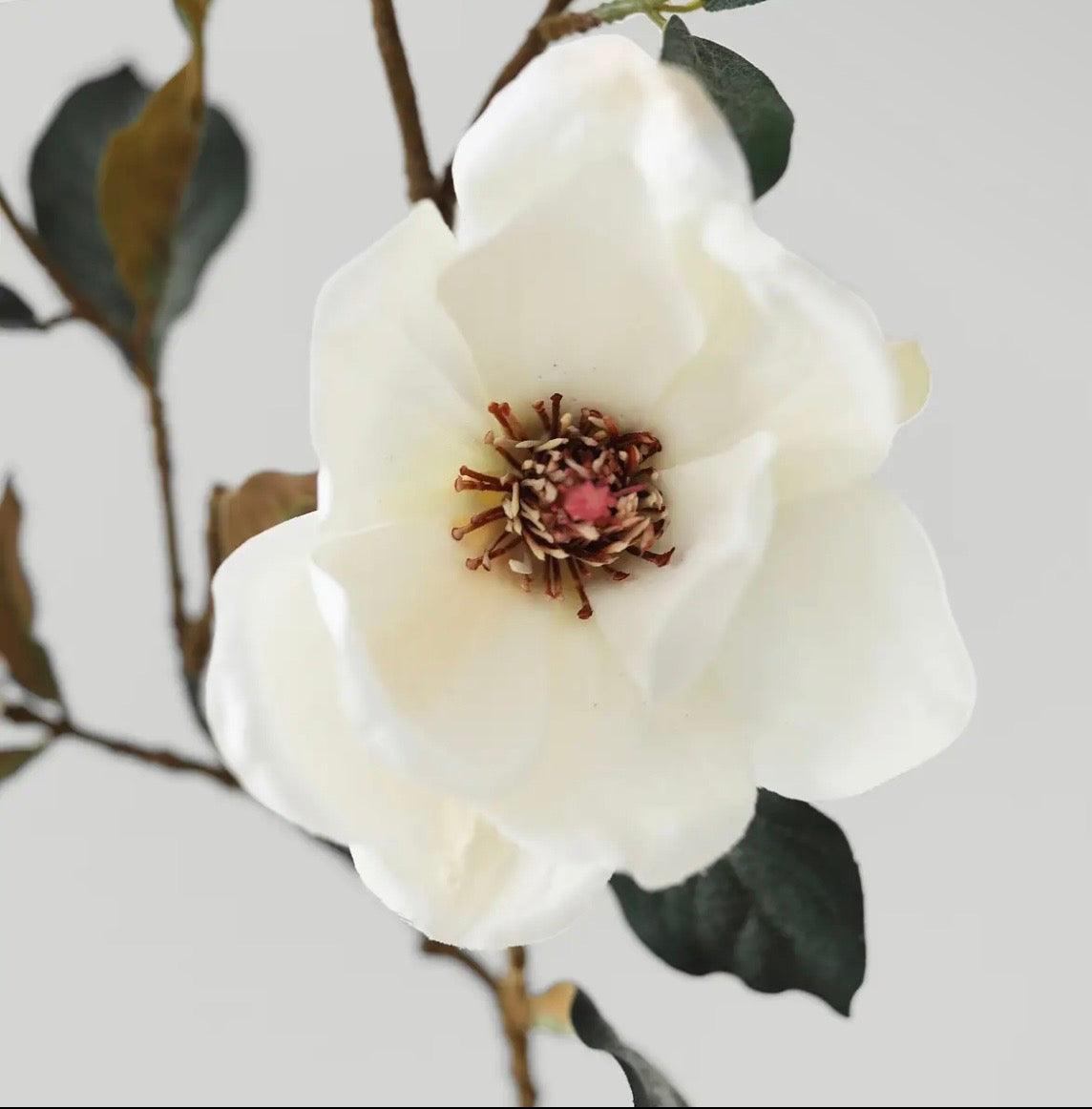 Cream Magnolia Flower Branch 35”