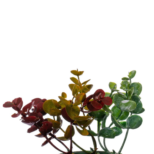 18" Red/Green Spiral Eucalyptus Wreath