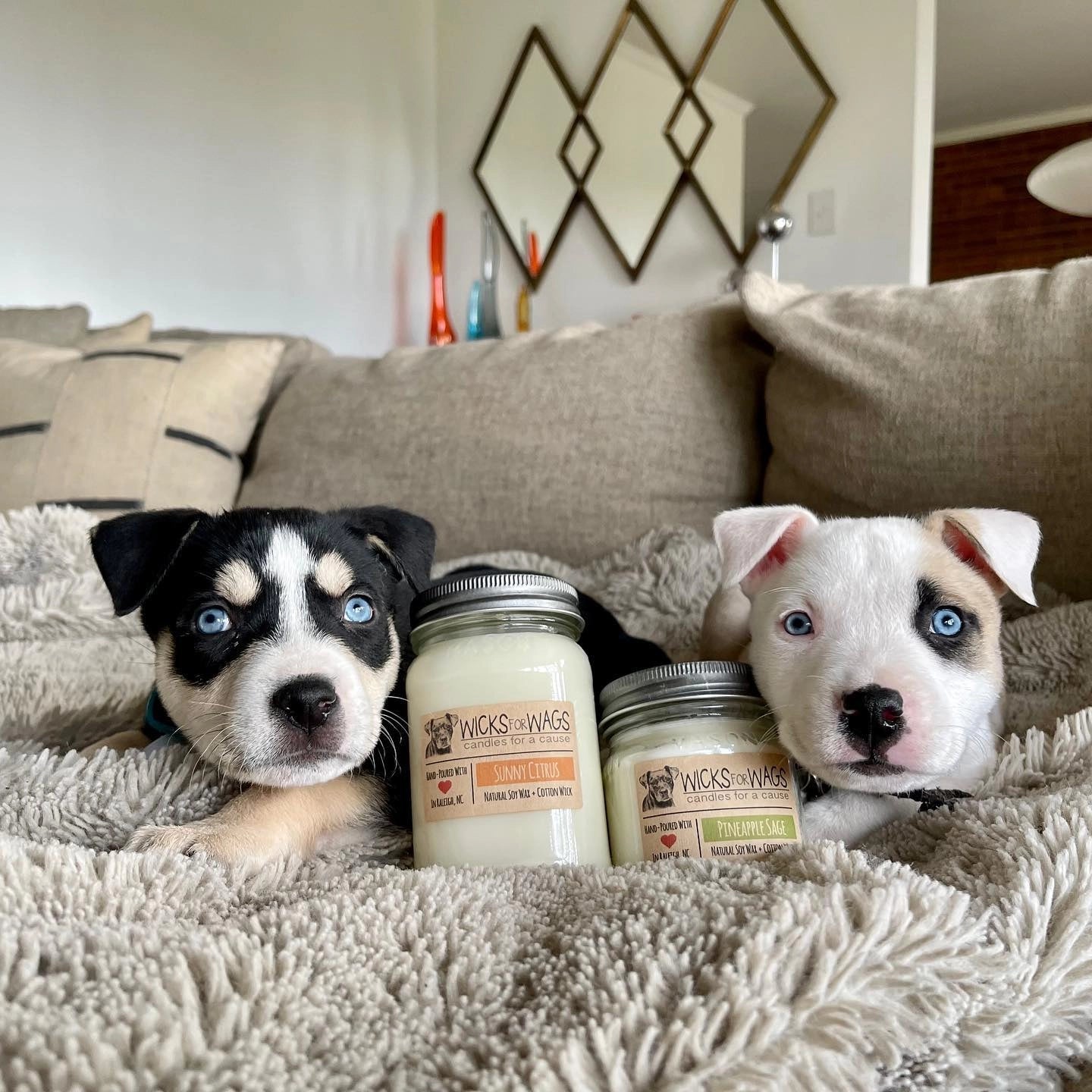 Sunny Citrus | 8oz Soy Candle | Mason Jar