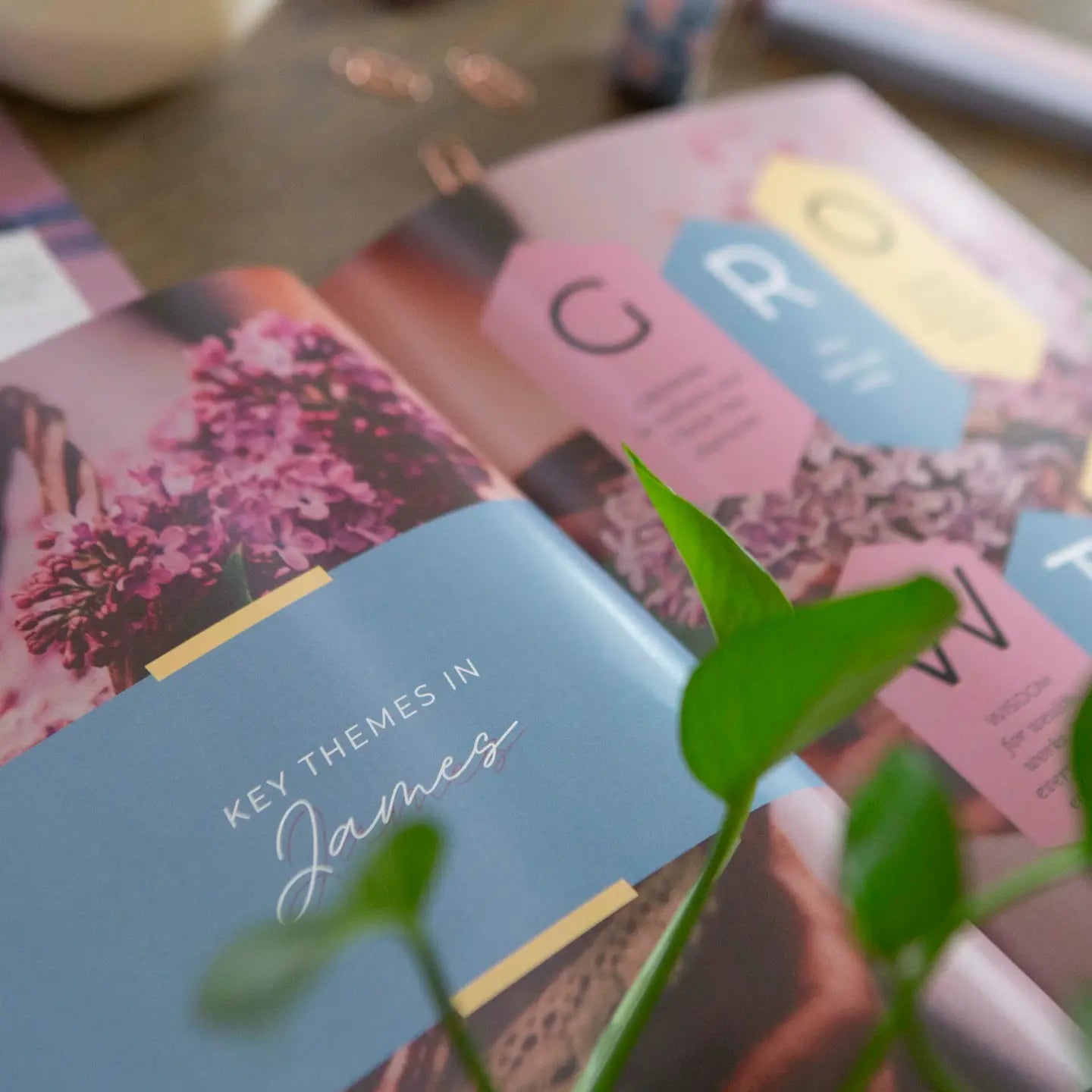 James Bible Study | Unwavering
