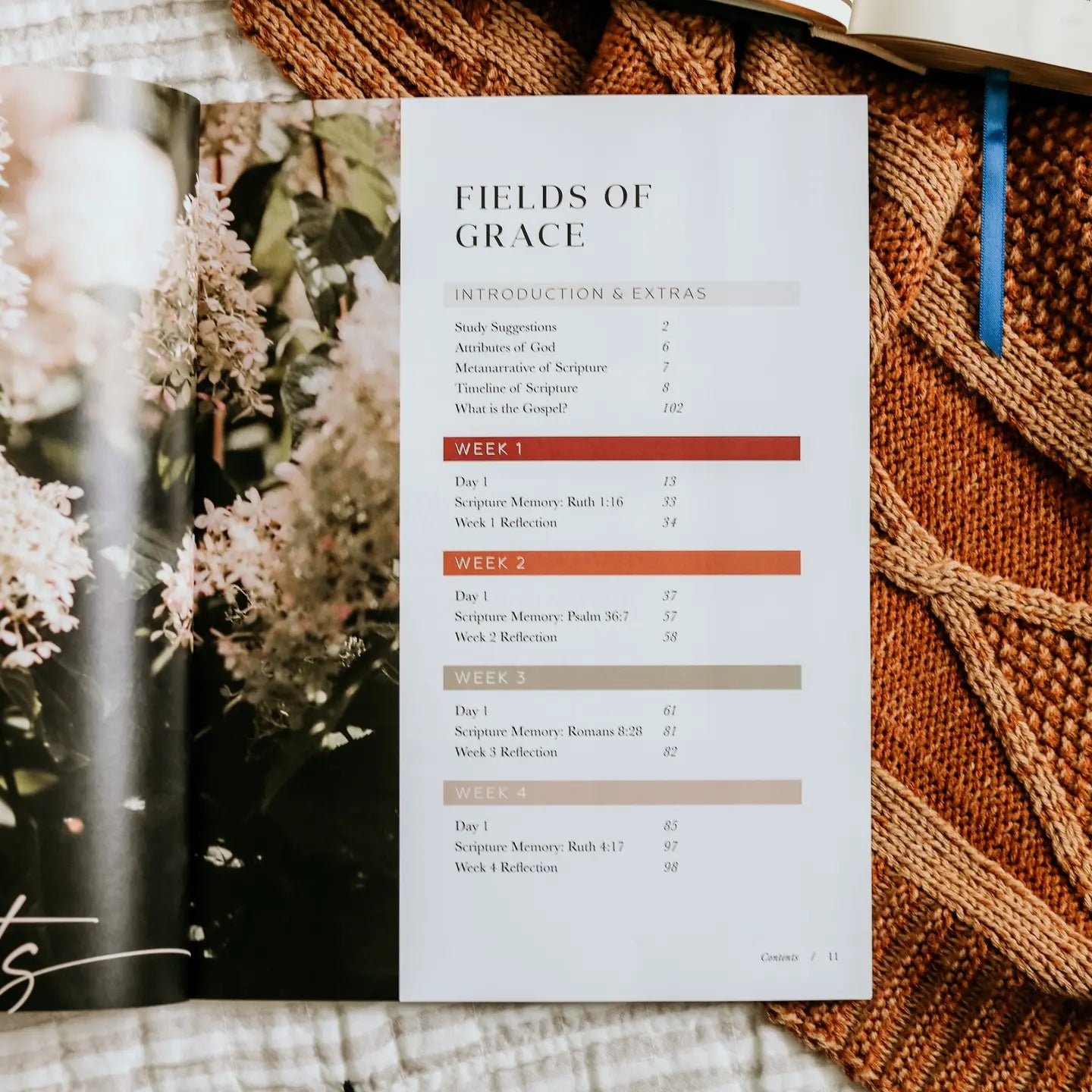 Ruth Study / Fields of Grace