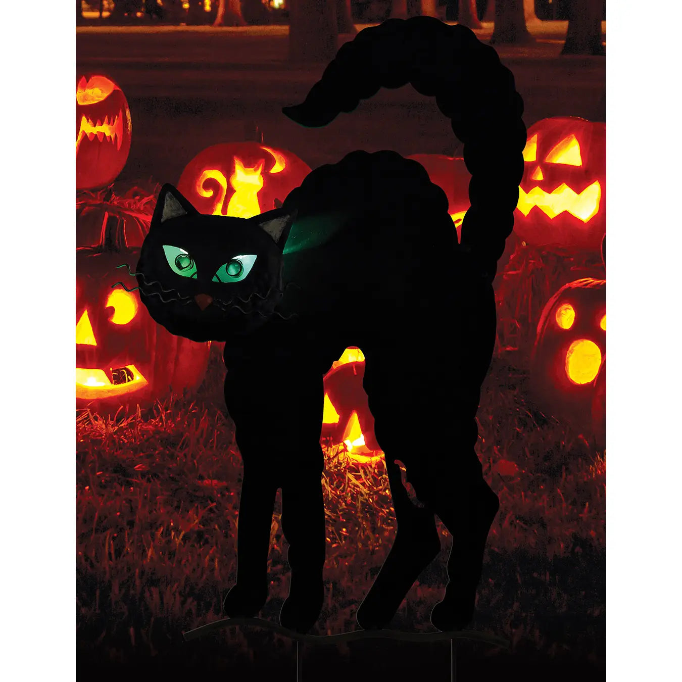 Black Cat Solar Low Stake 32