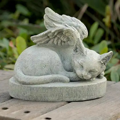 Sympathy Angel Cat